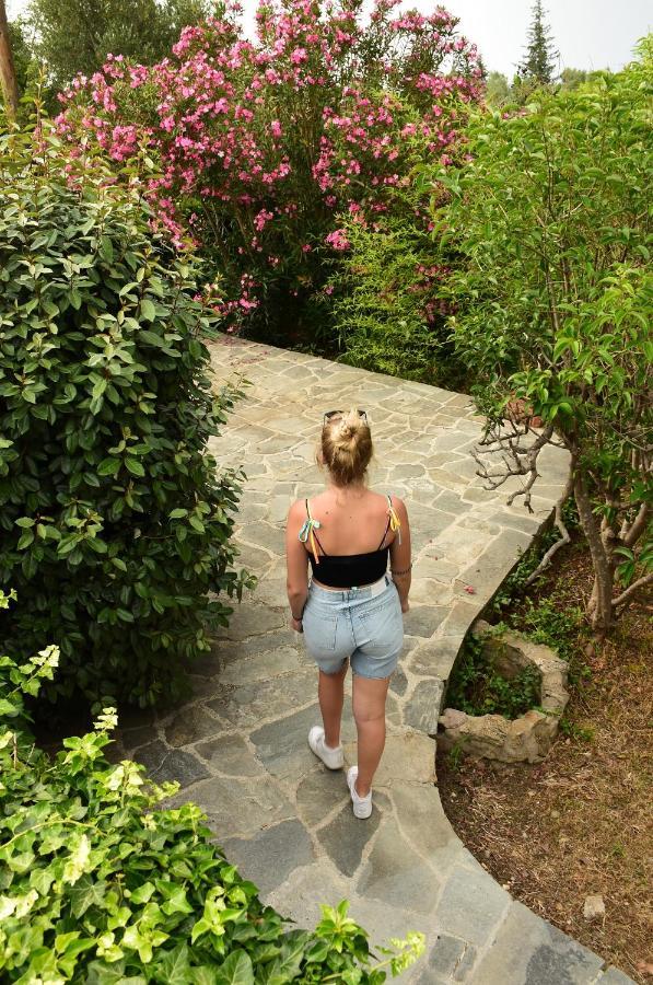 Villa Monte Kariotes Samothráki エクステリア 写真
